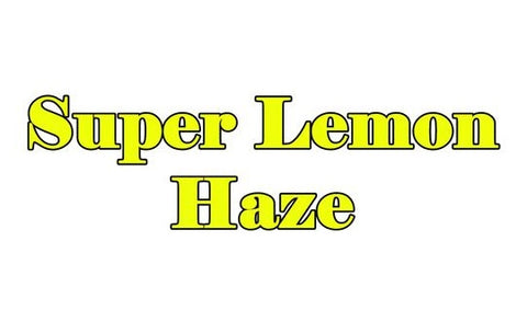 Super Lemon Haze Terpenes